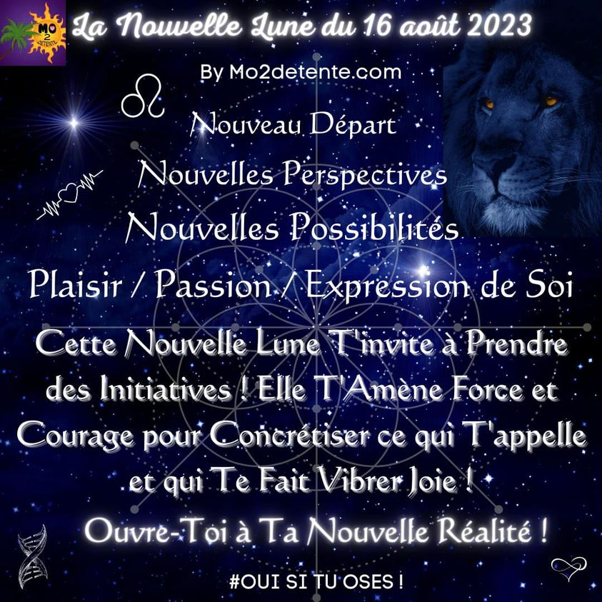 L’attribut alt de cette image est vide, son nom de fichier est image-57.png.